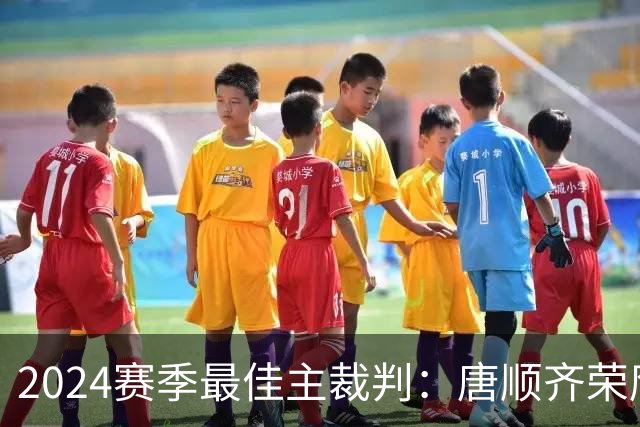 2024赛季最佳主裁判：唐顺齐荣膺金哨 马宁铜哨